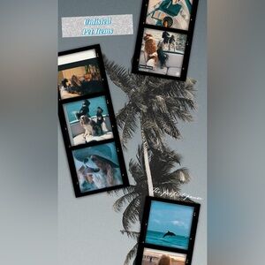 Quick list for Live Show for Pet items